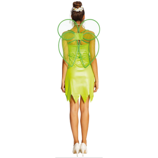 fairy fancy dress
